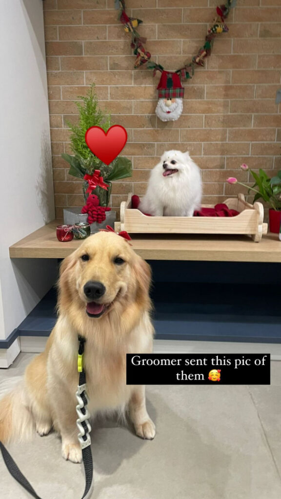 Instagram – ⠀X⠀ – Maimy Nyan [social media] – Nude Leaks