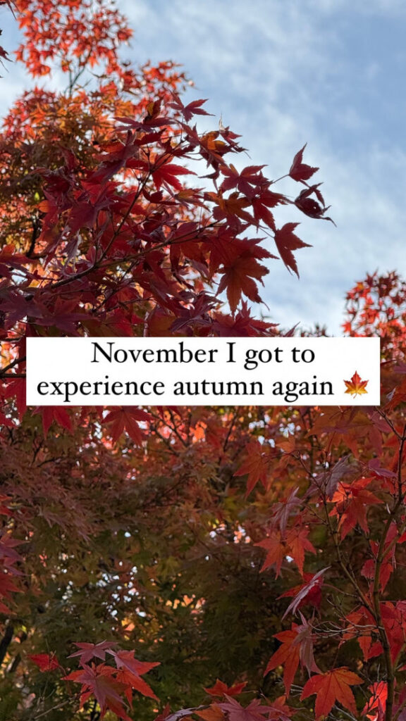 Instagram – ⠀X⠀ – Maimy Nyan [social media] – Nude Leaks