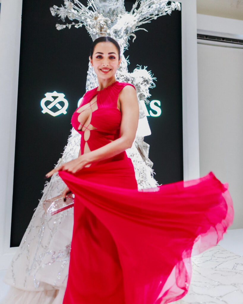 Celeb – MILF – Indian – Malaika Arora – Nude