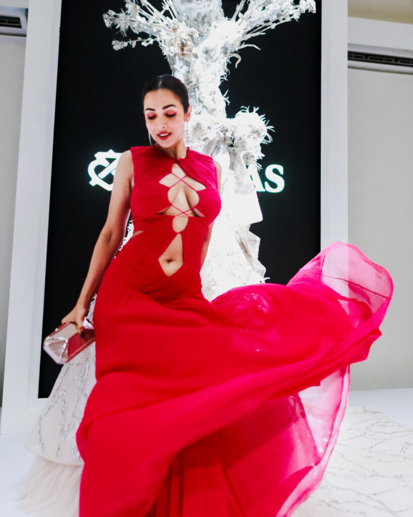 Celeb – MILF – Indian – Malaika Arora – Nude