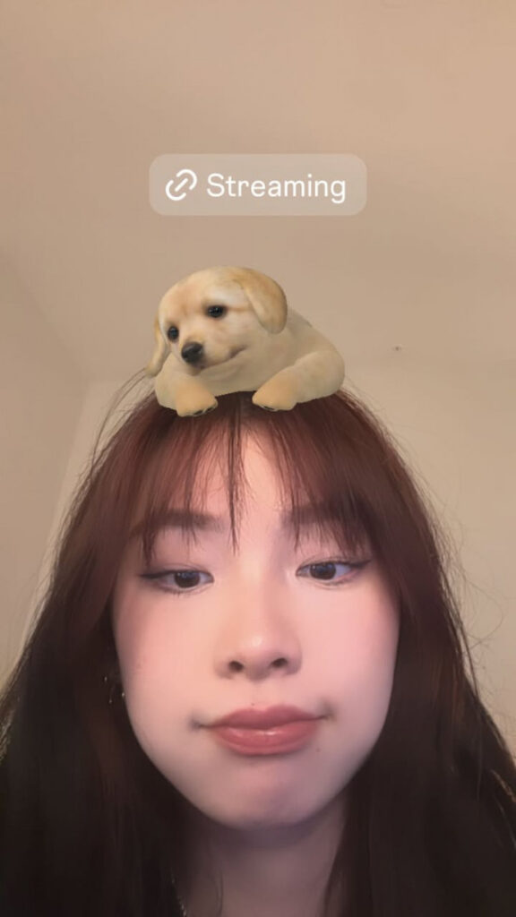 Twitch – Asian – pipluptiny – Nude