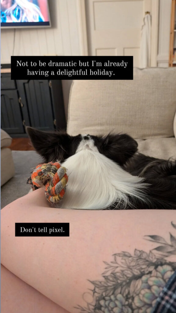 Twitch – Pixelsmixel – Nude