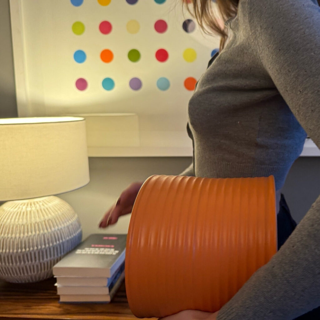 TikTok – Instagram – Rina lipa – Nude