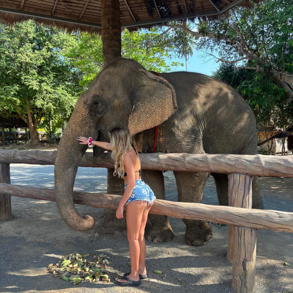 OnlyFans – SOZZLEPOPP / devilfairyyy – Nude