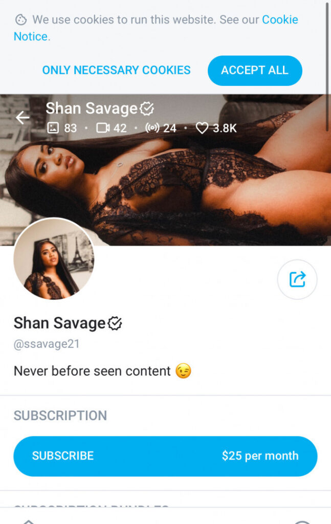 OnlyFans – Ebony – ssavage21 – Nude Leaks