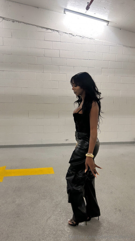 OnlyFans – Trans – Ebony – TS Kourtney Dash – Nude Leaks