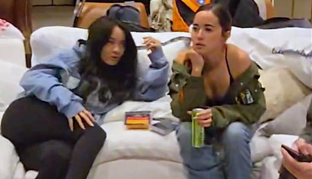 Twitch – Cinnabrit – Nude