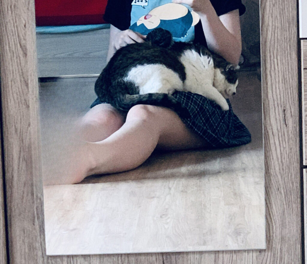 Twitch – VTuber – inislein – Nude Leaks