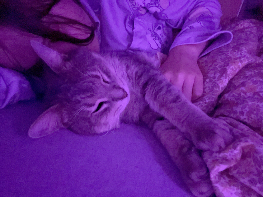 Twitch – VTuber – inislein – Nude Leaks