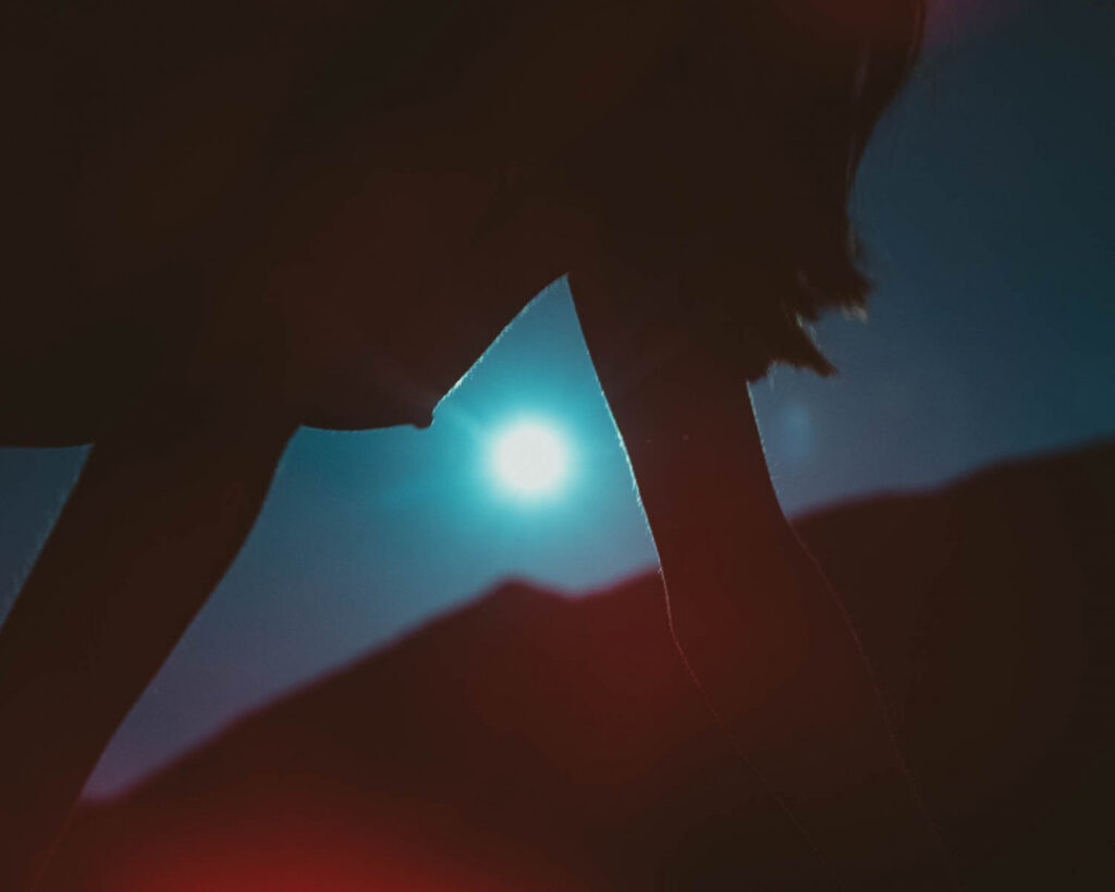 TikTok – Petite – katiielady – Nude Leaks