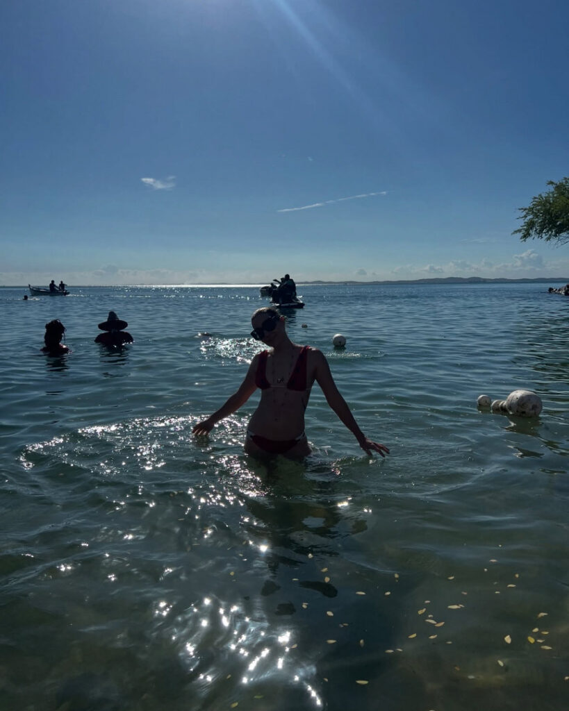 Fake – Leticia Colin – Nude Leaks