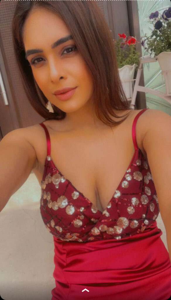 TikTok – Indian – Nehhaa Malik / Neha Malik – Nude Leaks