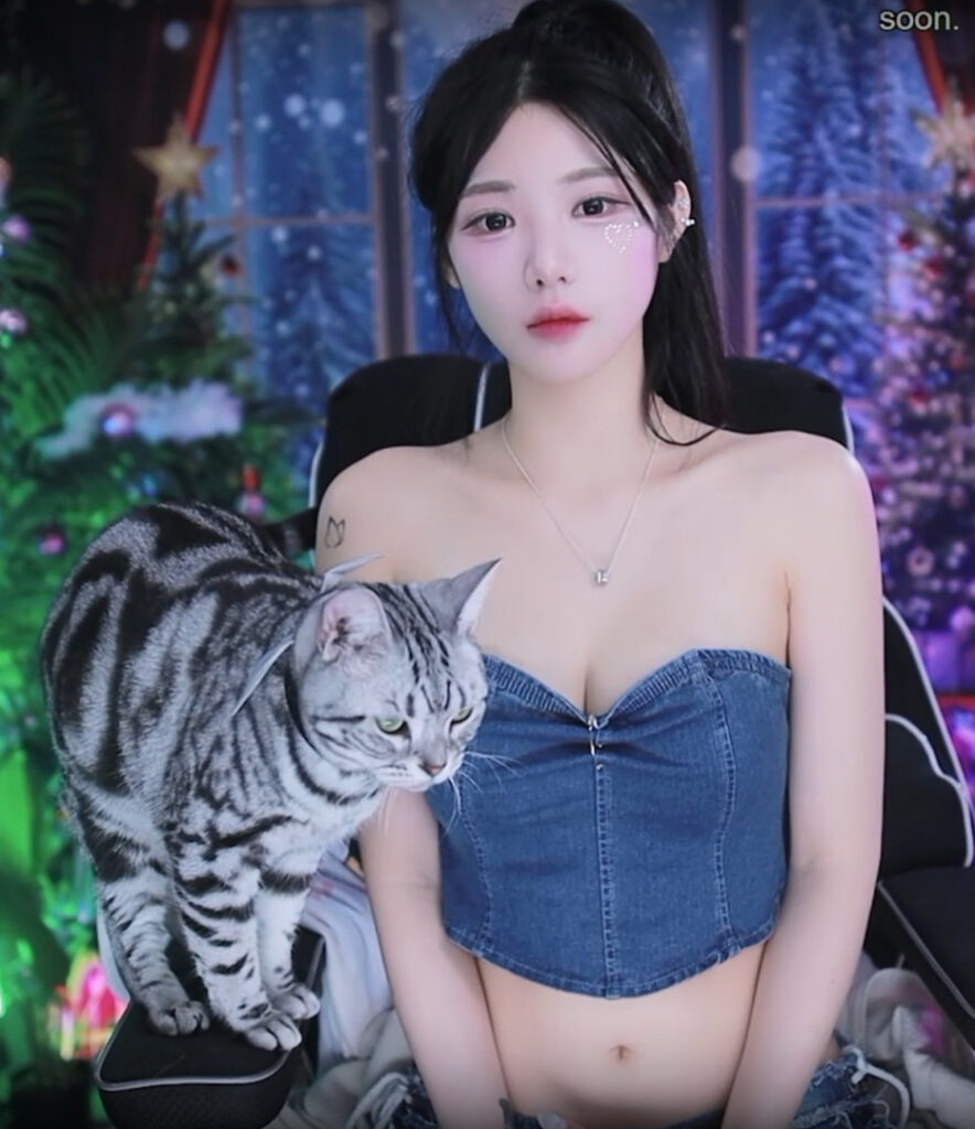 Twitch – TikTok – Asian – Korean – p_tilda / 박틸다 – Nude Leaks