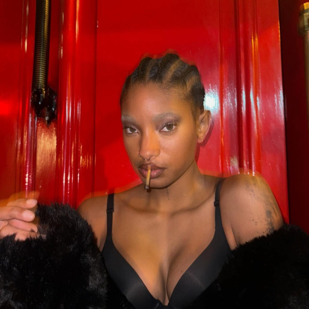 Celeb – Ebony – Willow Smith – Nude Leaks