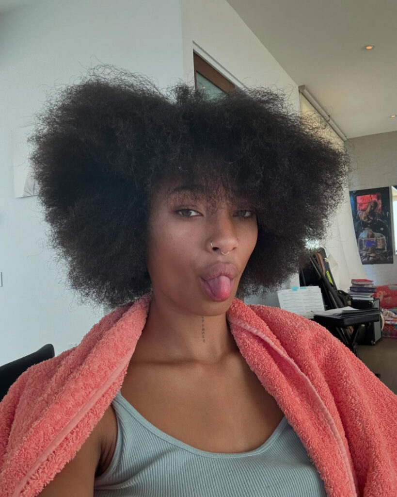 Celeb – Ebony – Willow Smith – Nude Leaks