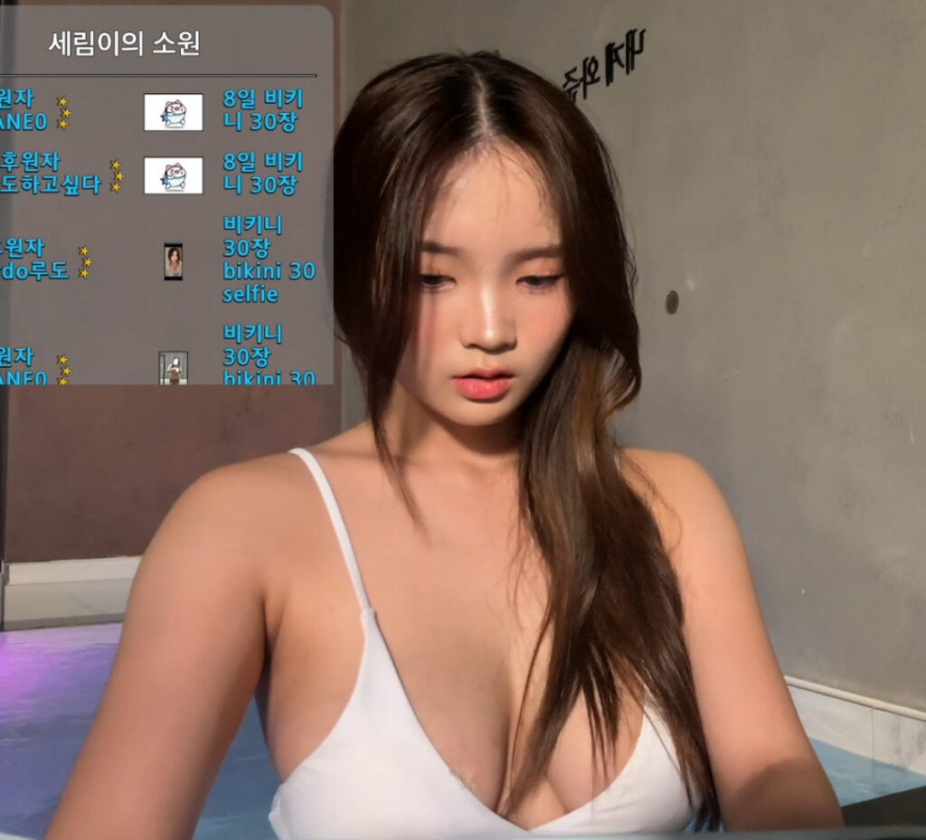Twitch – afreecaᵀⱽ – Asian – 세림잉 (Serimm11) – Nude Leaks