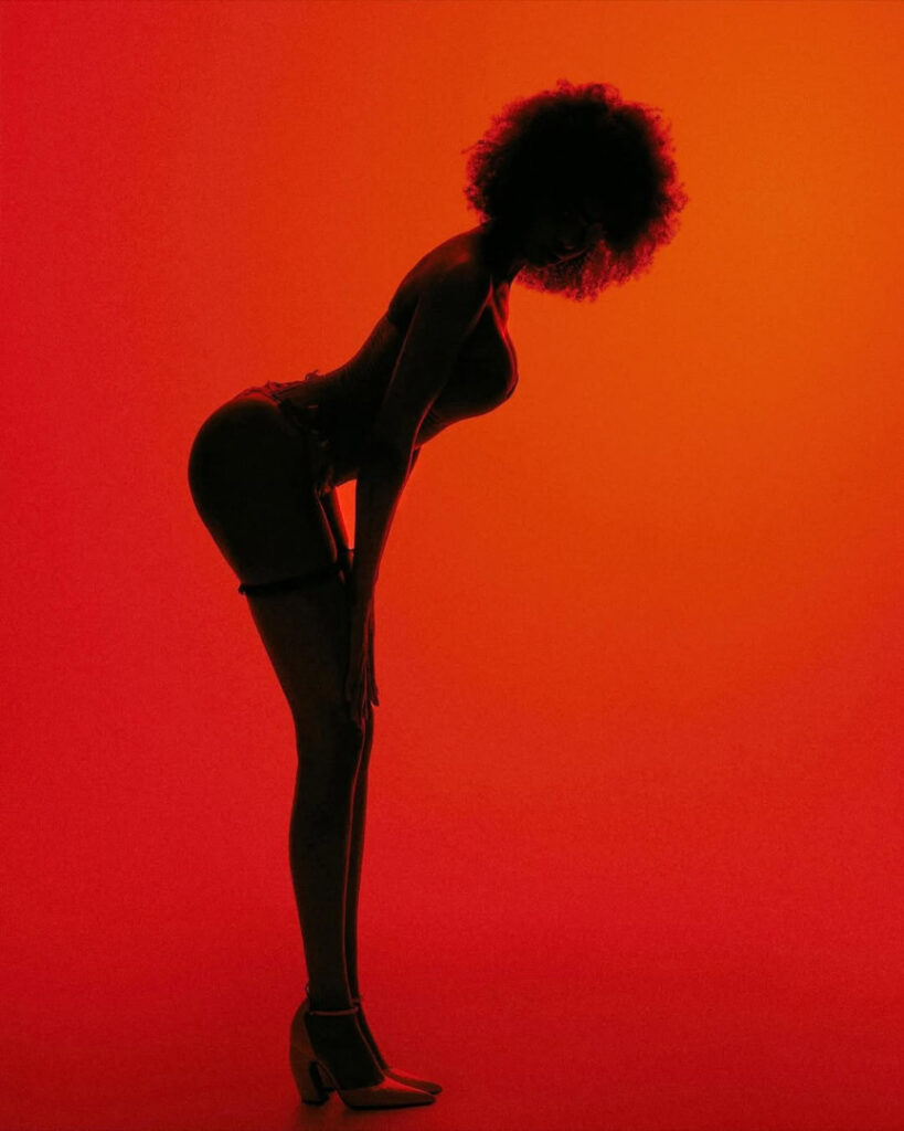 TikTok – Instagram – Nicole Akonchong  @nicoleakonchong – Nude Leaks