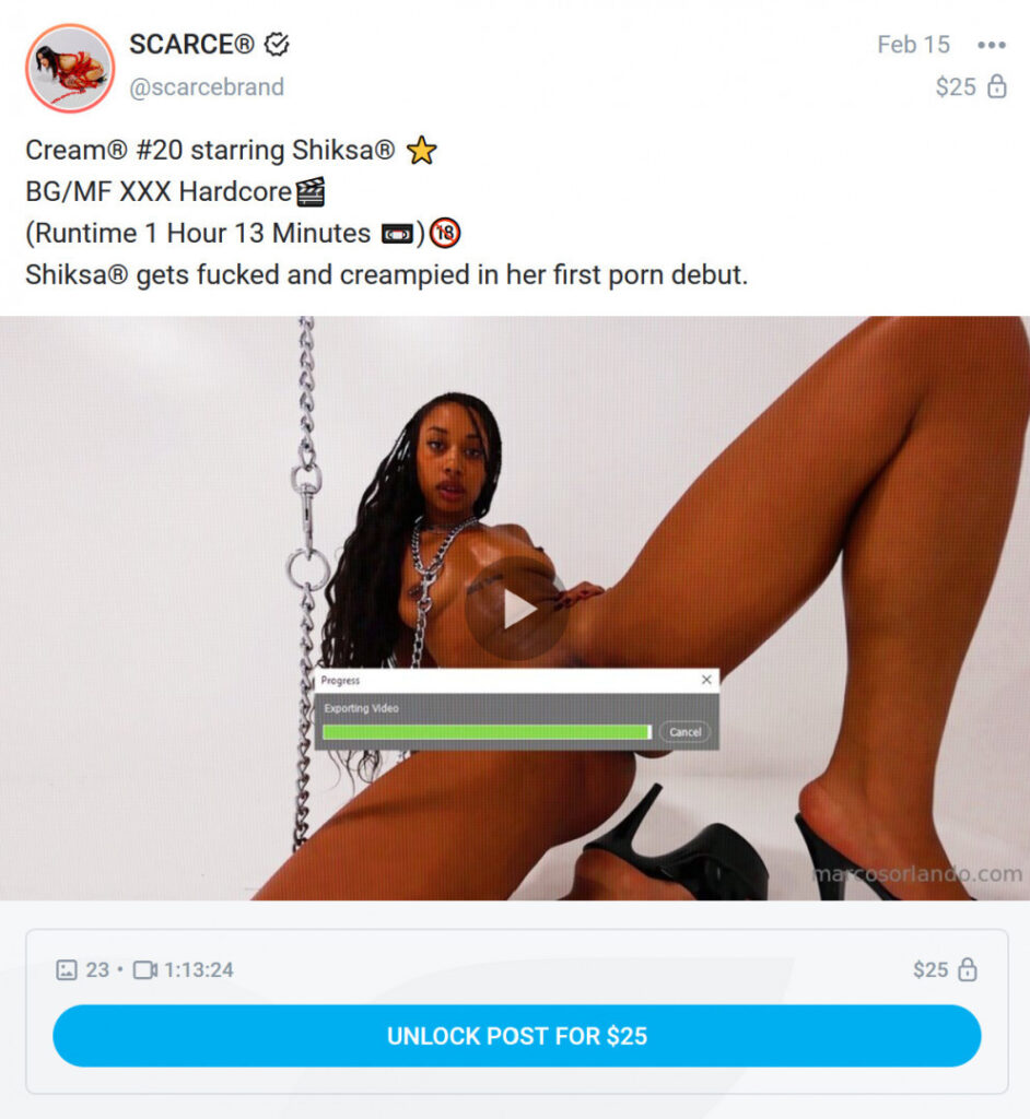 OnlyFans – Instagram – Ebony – Shiksababy – Nude