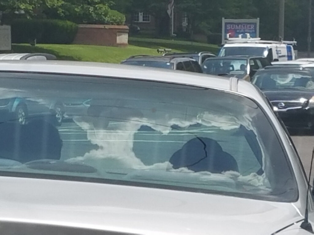 Reddit – u/ohmaisie – Nude Leaks