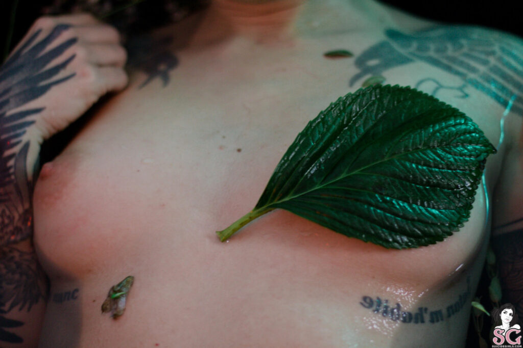 OnlyFans – Vesperal – Nude Leaks