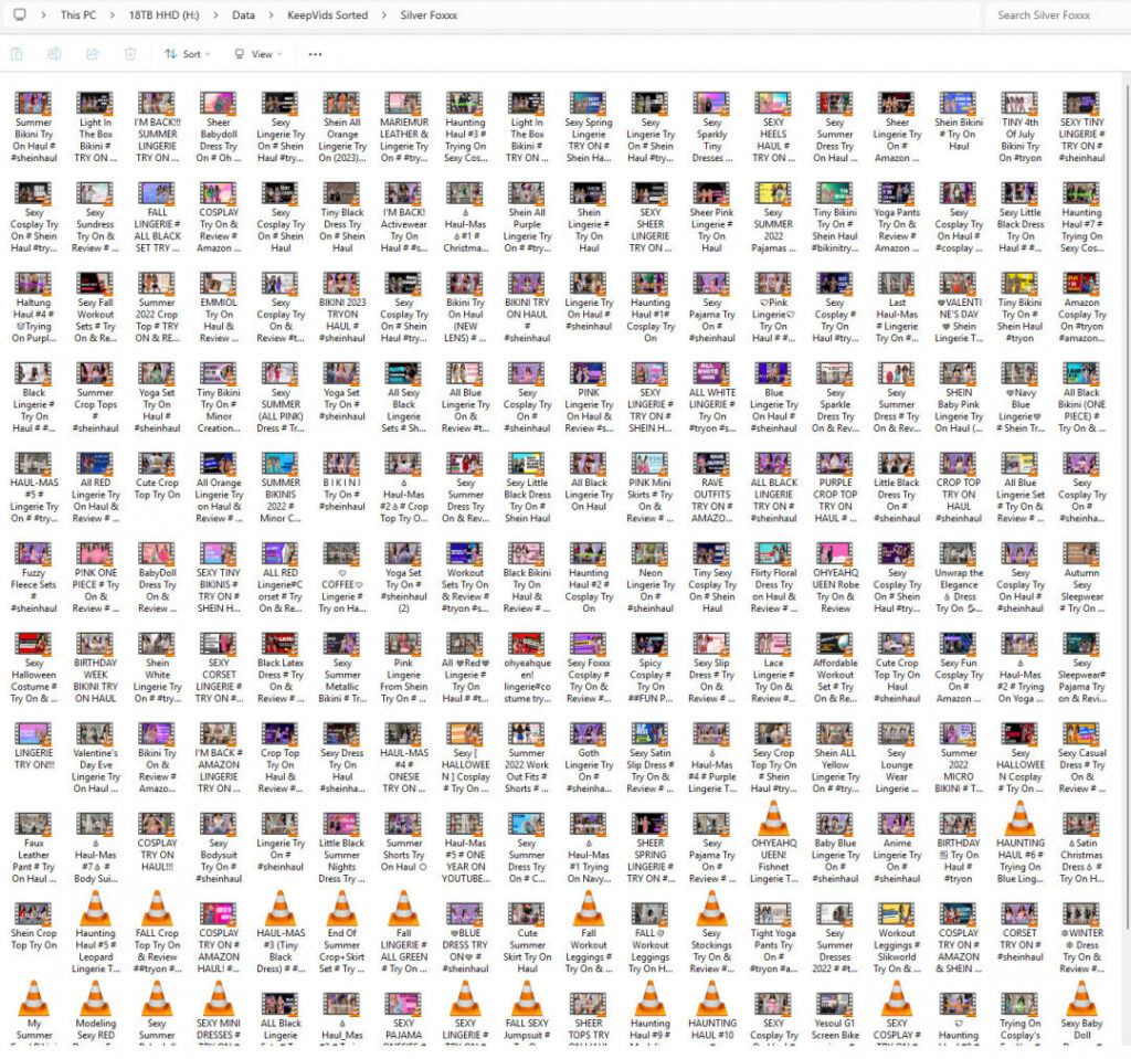 silverfoxxx32 / Silver Foxxx – Nude Leaks Onlyfans