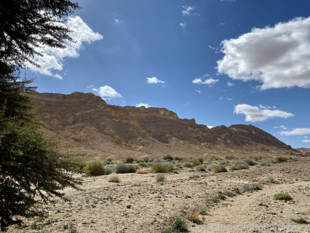 Tamara Grace – Nude Leaks Onlyfans