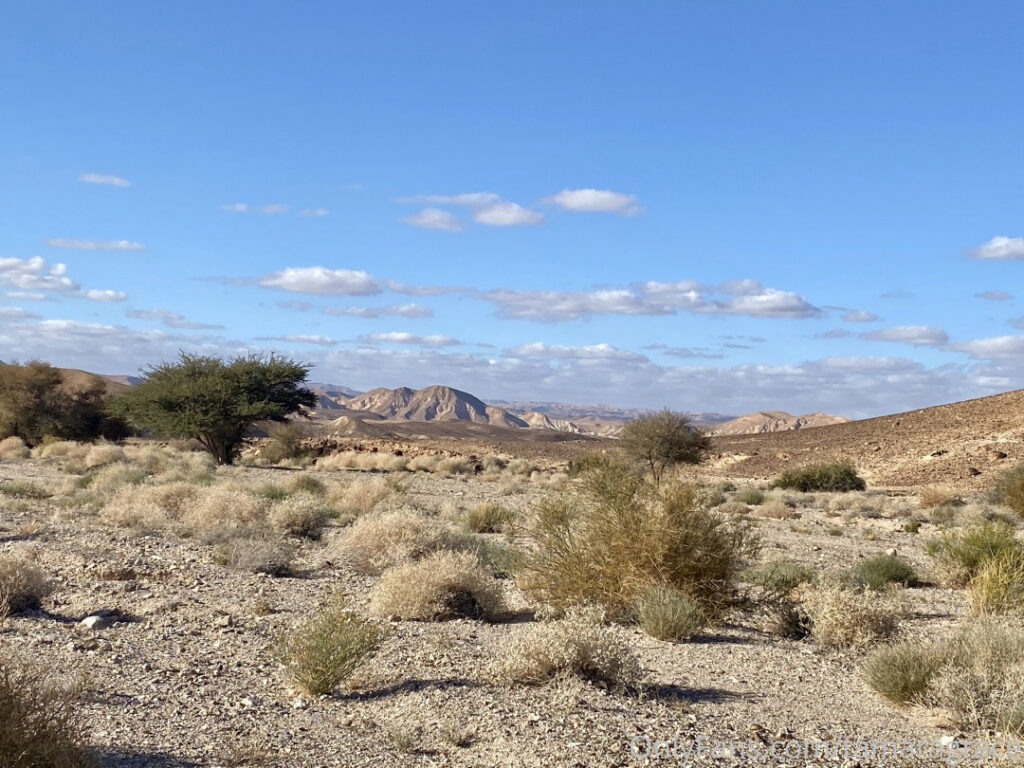 Tamara Grace – Nude Leaks Onlyfans